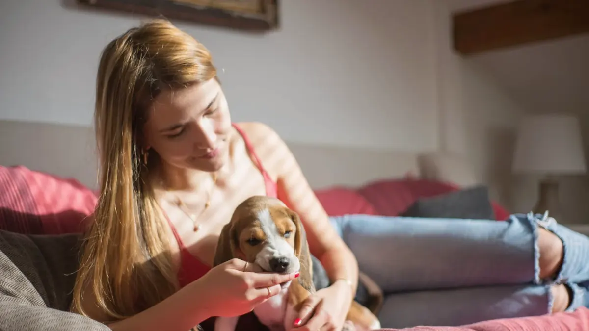 Dog eating from a bowl at home