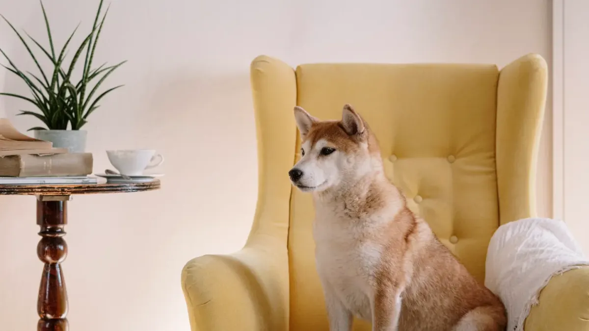 Dog eating from a bowl at home