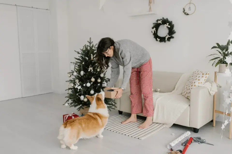 Dog eating from a bowl at home