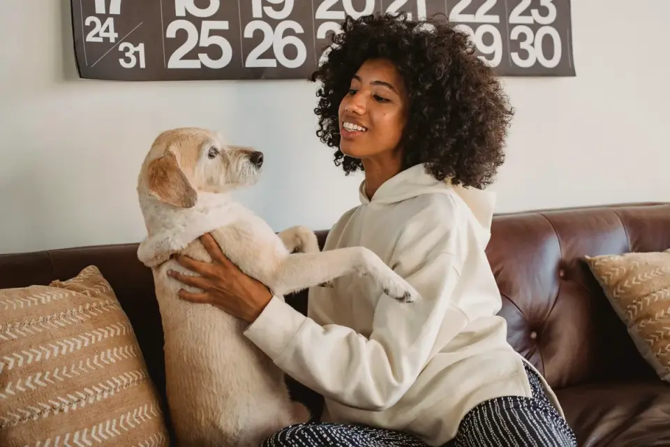 Dog resting beside an owner