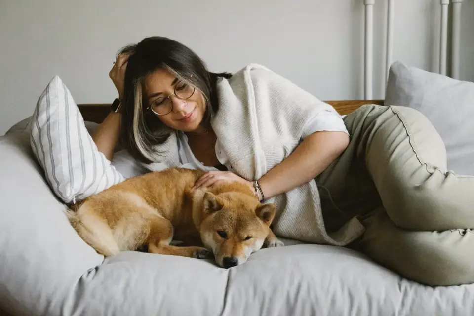 Dog resting beside an owner