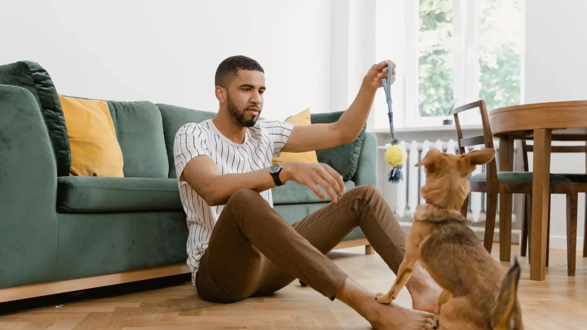 Dog resting beside an owner
