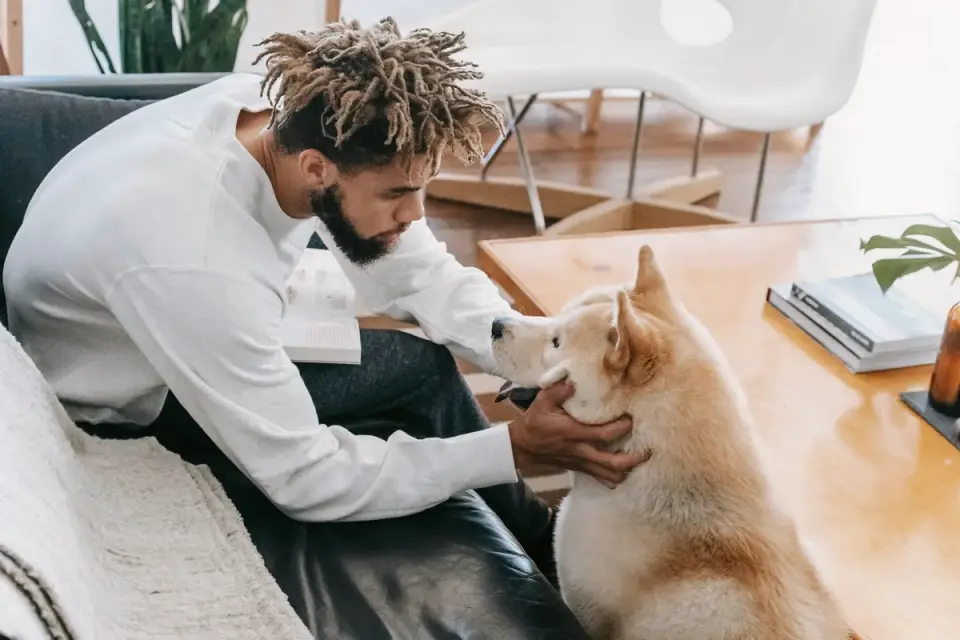 Dog resting beside an owner