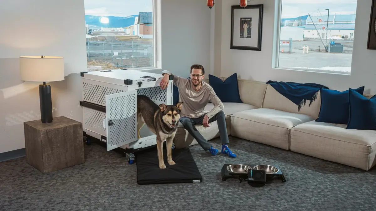 Dog resting beside an owner