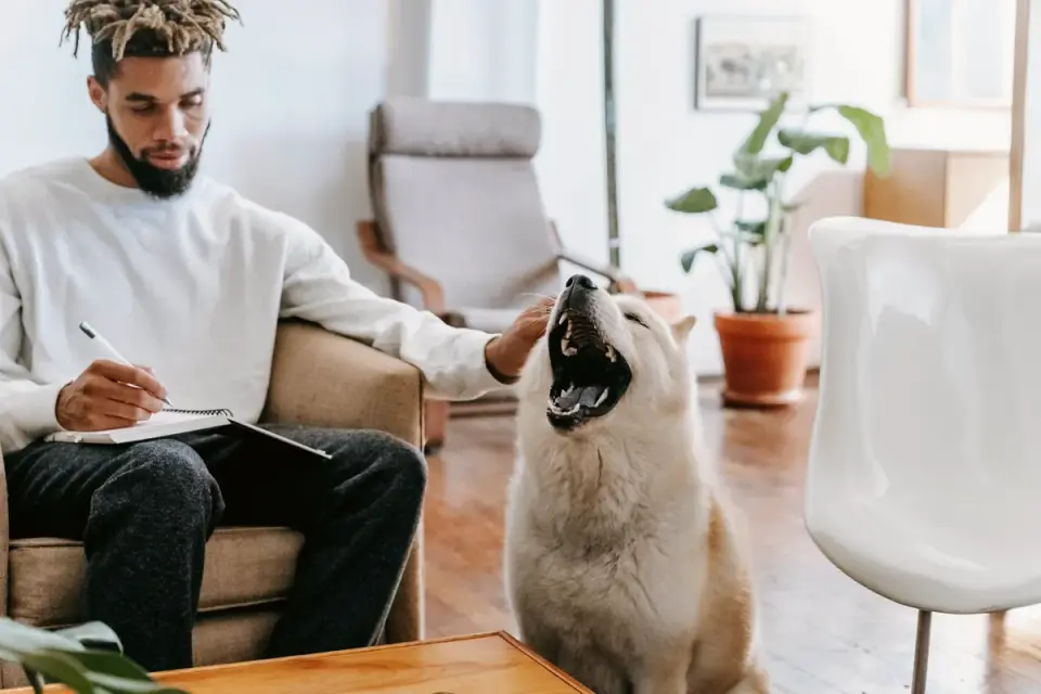 Dog resting beside an owner
