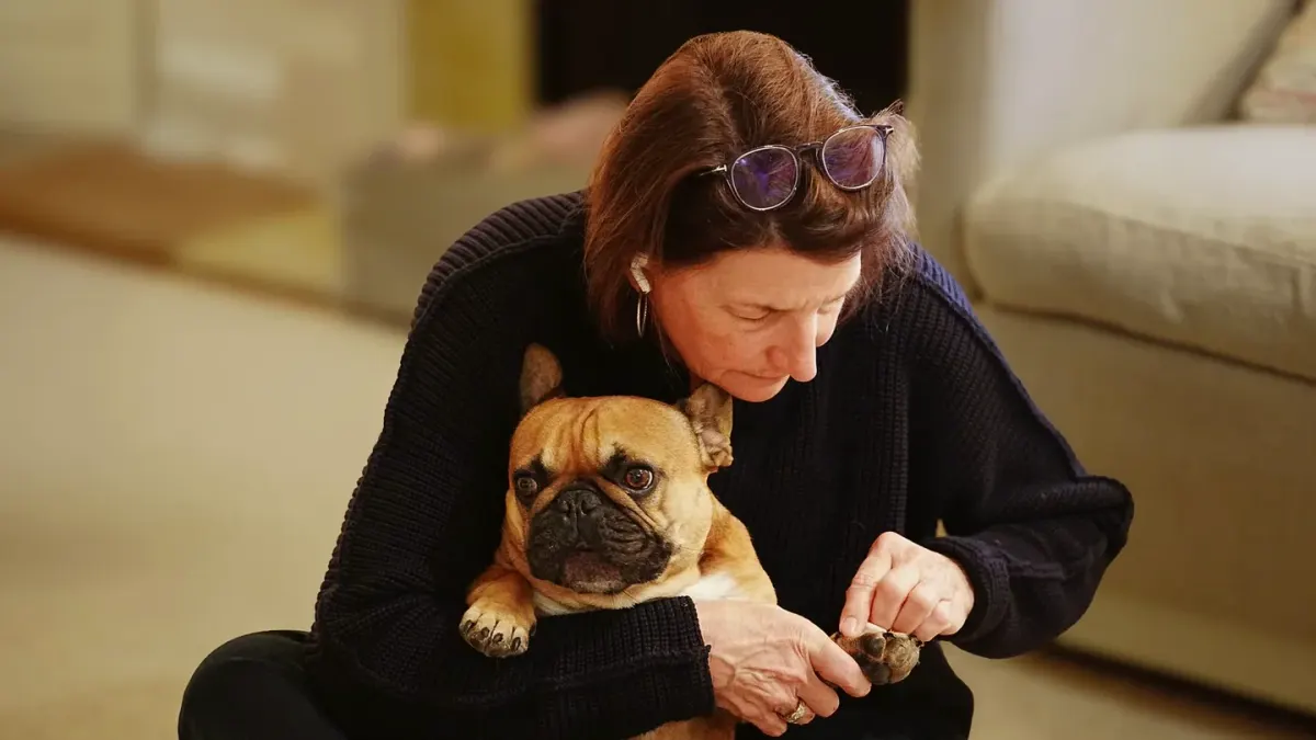 Dog resting beside an owner