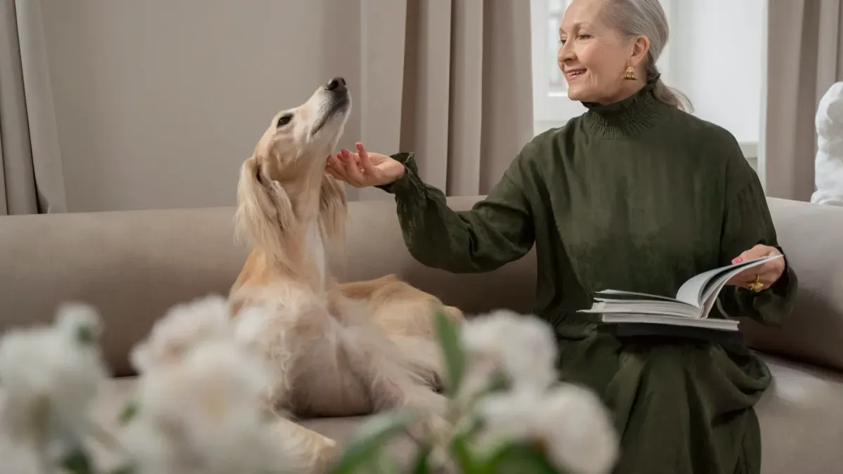Dog resting beside an owner