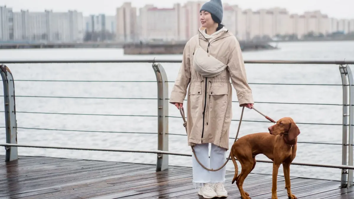 Dog walking with an owner