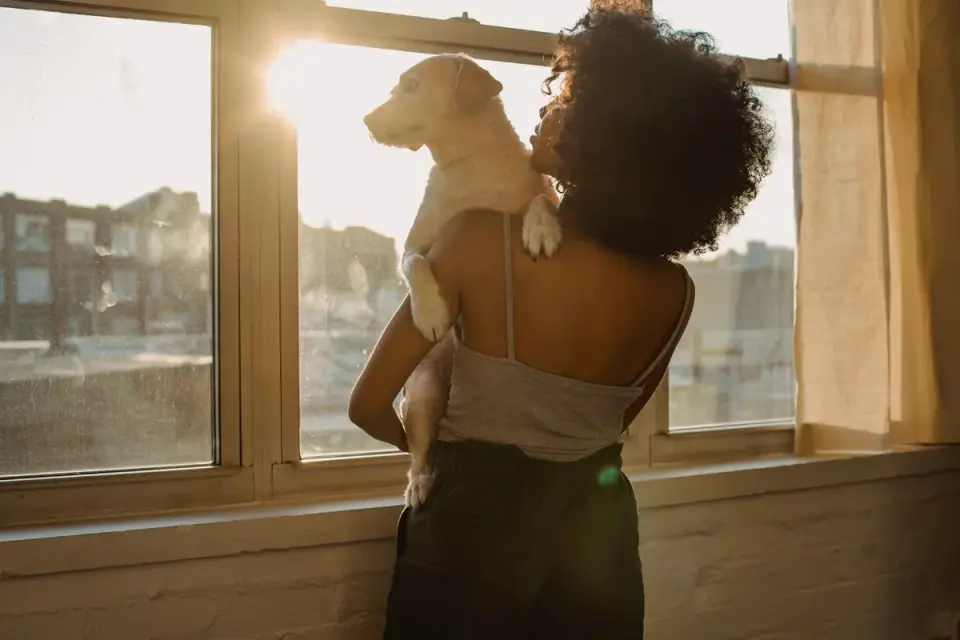 Dog with an owner at home