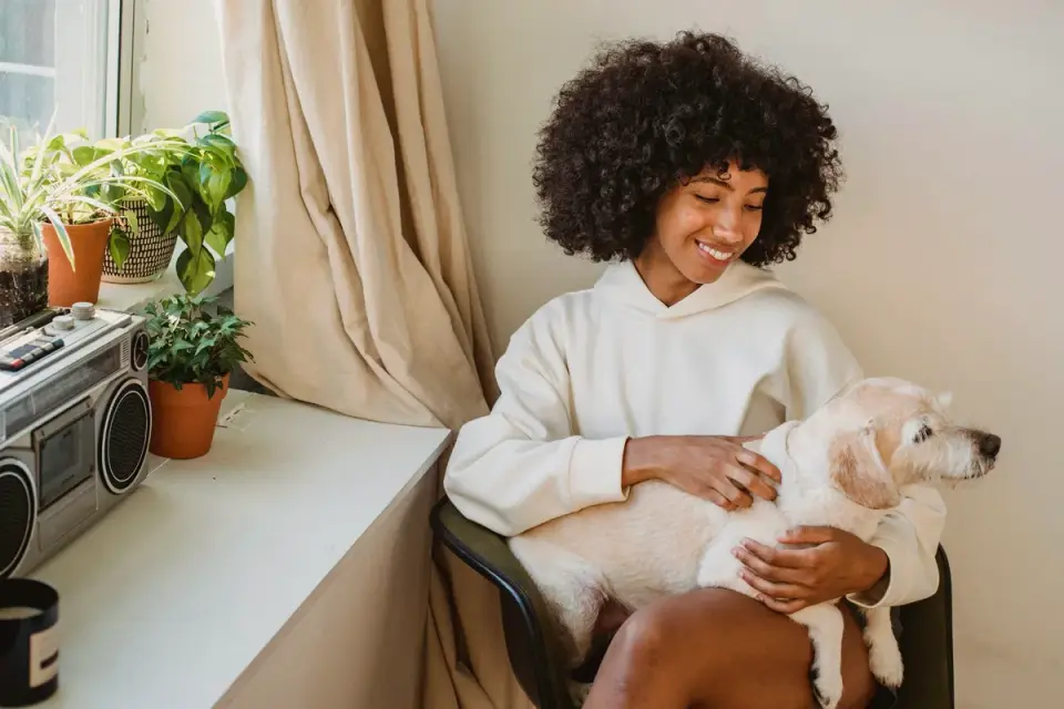 Dog with an owner at home