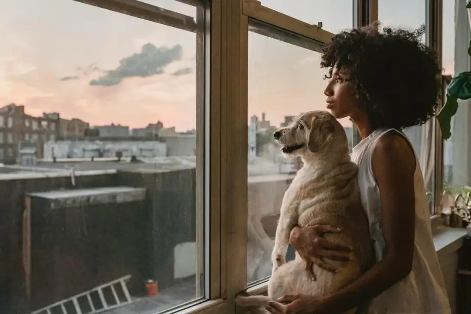 Dog with an owner at home