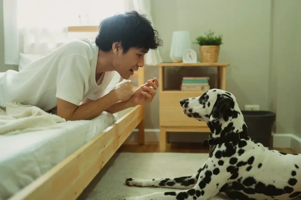Dog with an owner at home