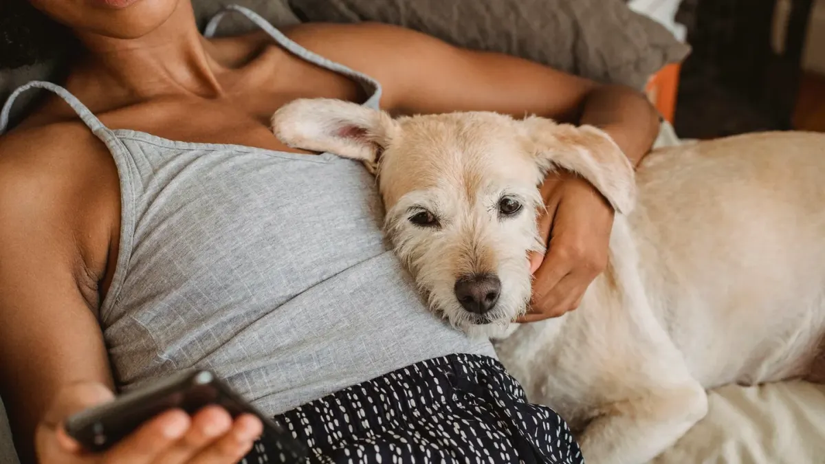 Dog with an owner at home