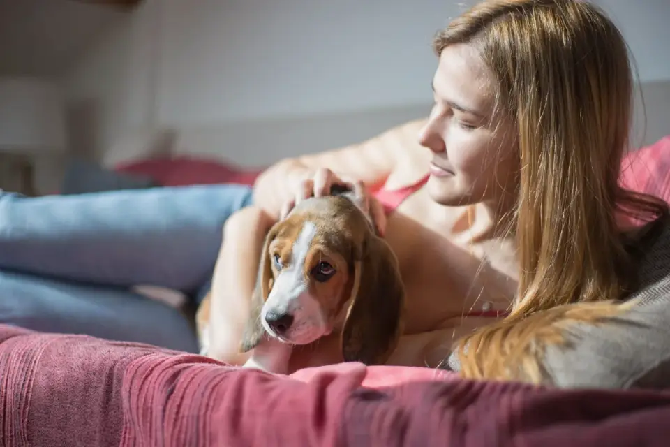 Dog with an owner at home