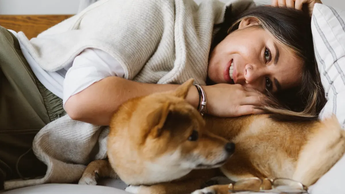 Dog with an owner at home