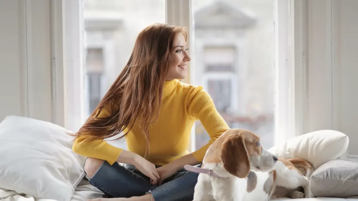 Dog with an owner at home