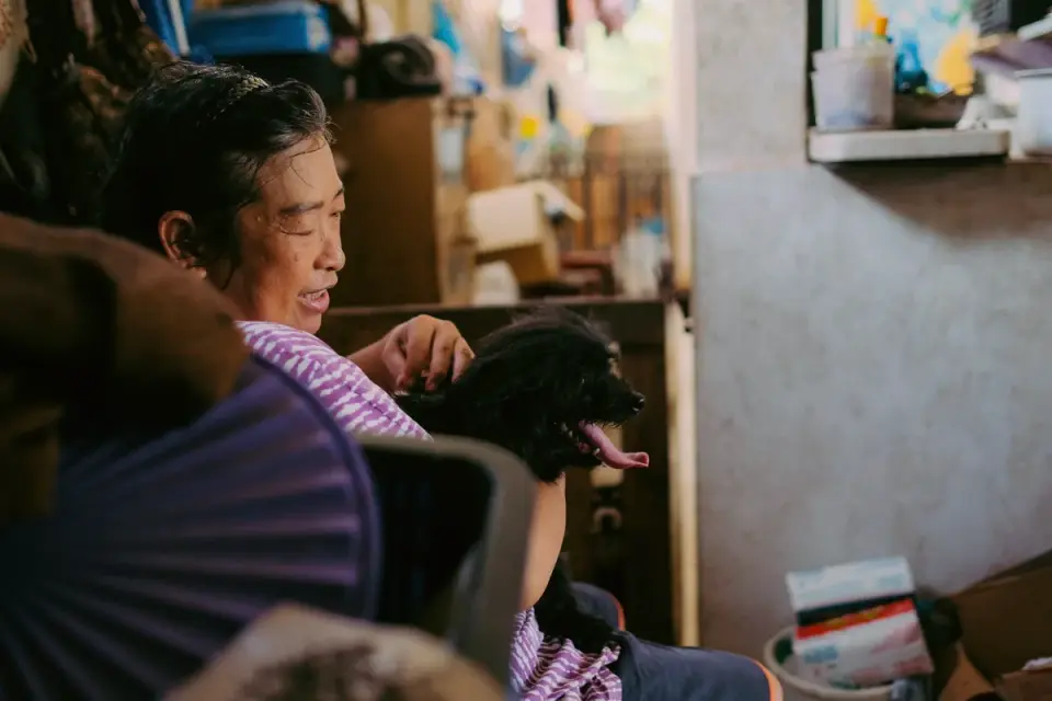 Dog with an owner at home