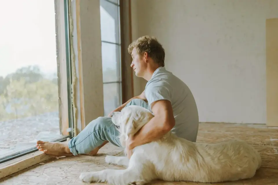 Dog with an owner at home