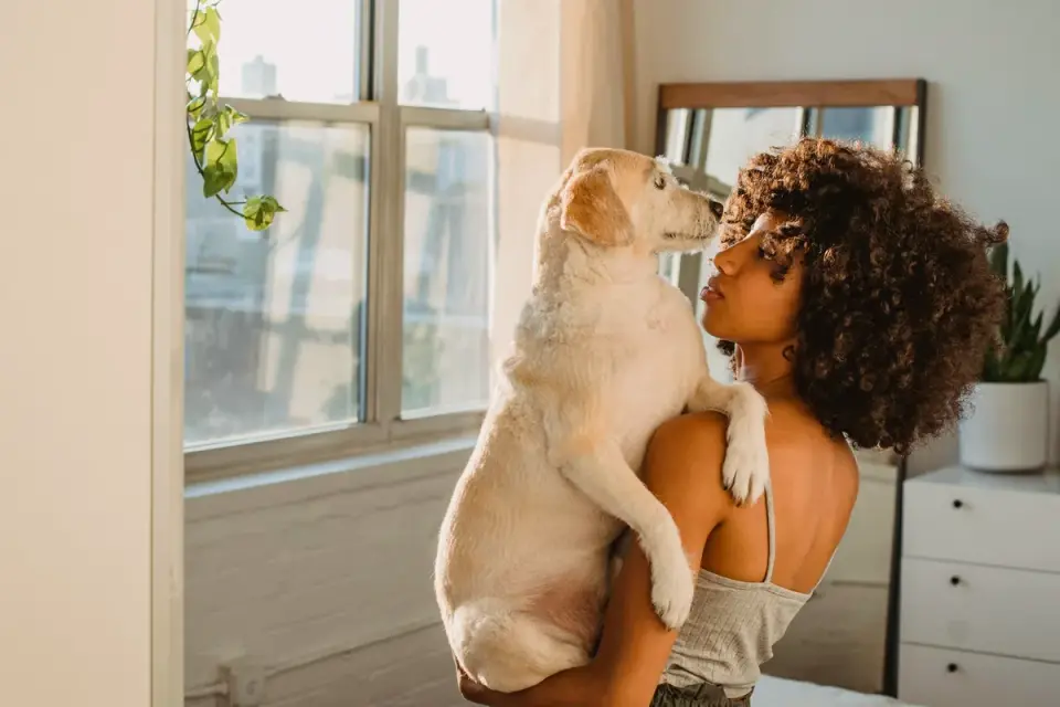 Dog with an owner at home