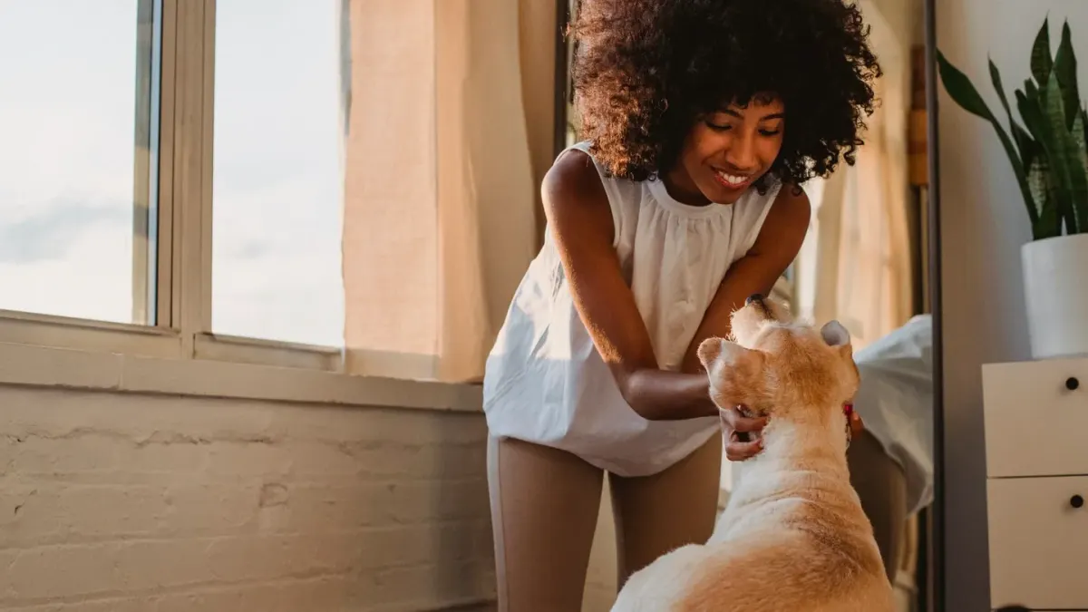 Dog with an owner at home