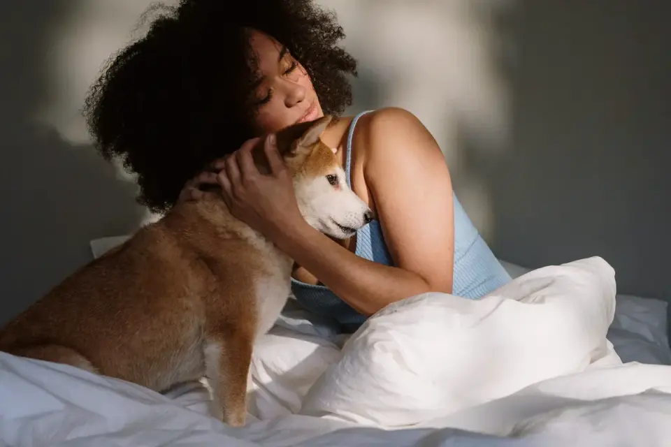 Dog with an owner at home