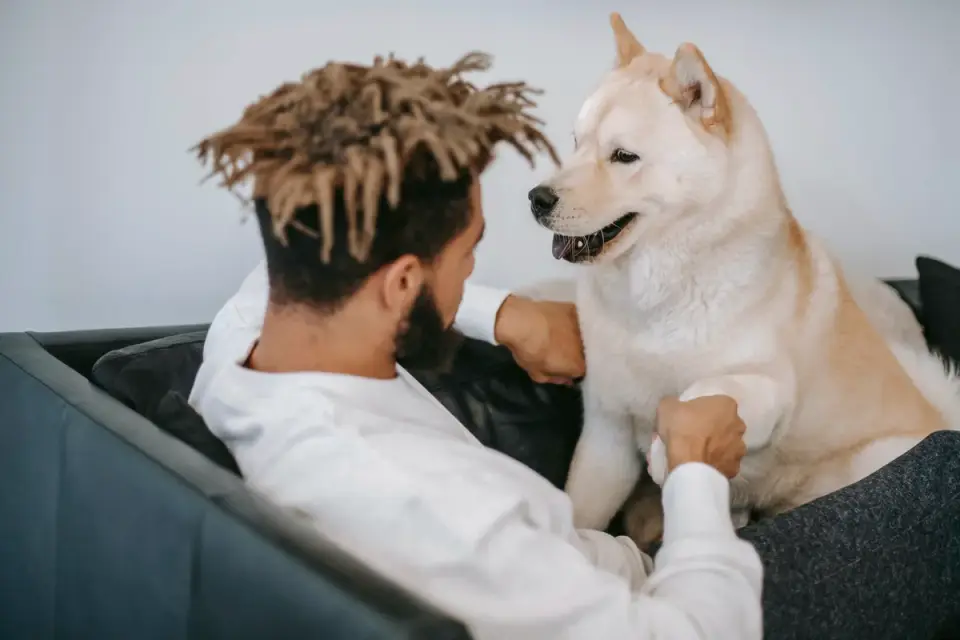Dog with an owner at home