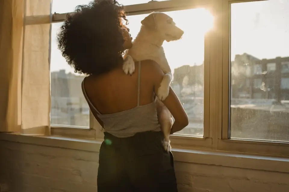 Dog with an owner at home