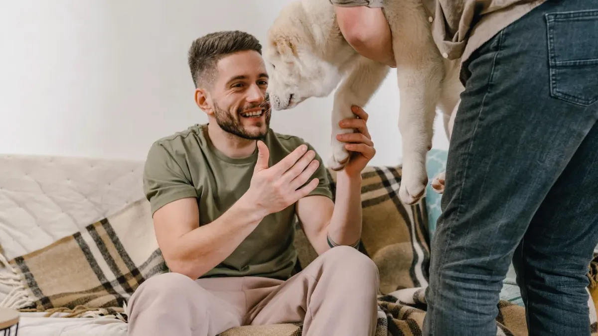 Dog with an owner at home