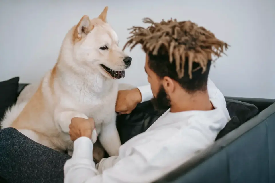 Dog with an owner at home