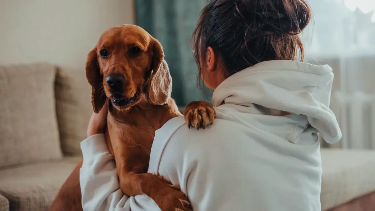 Dog with an owner at home
