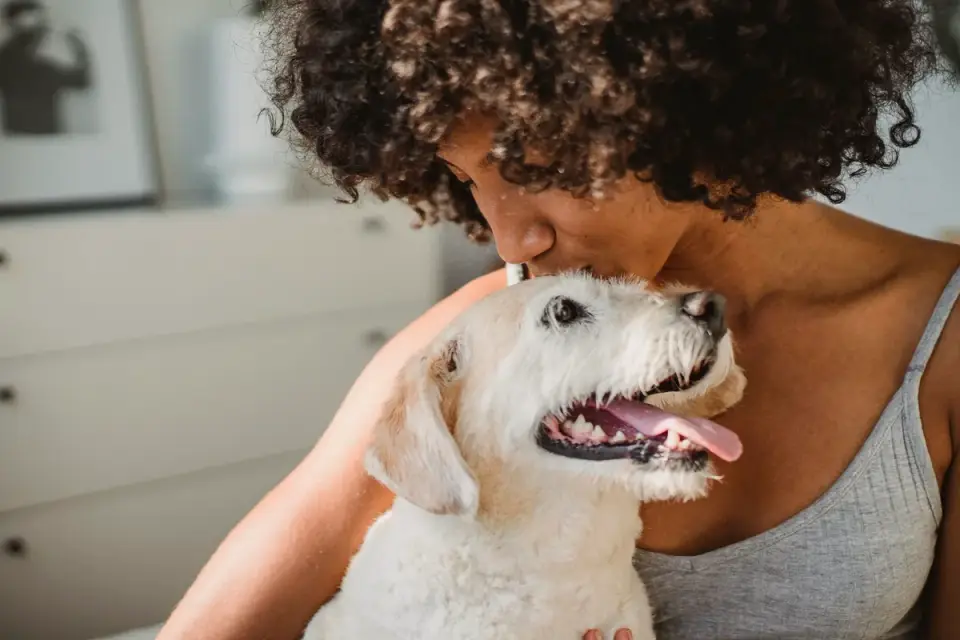 Dog with an owner at home