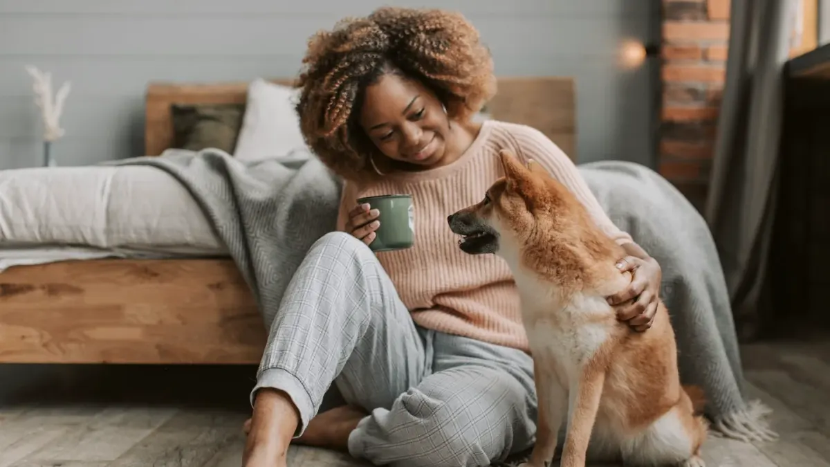 Dog with an owner at home