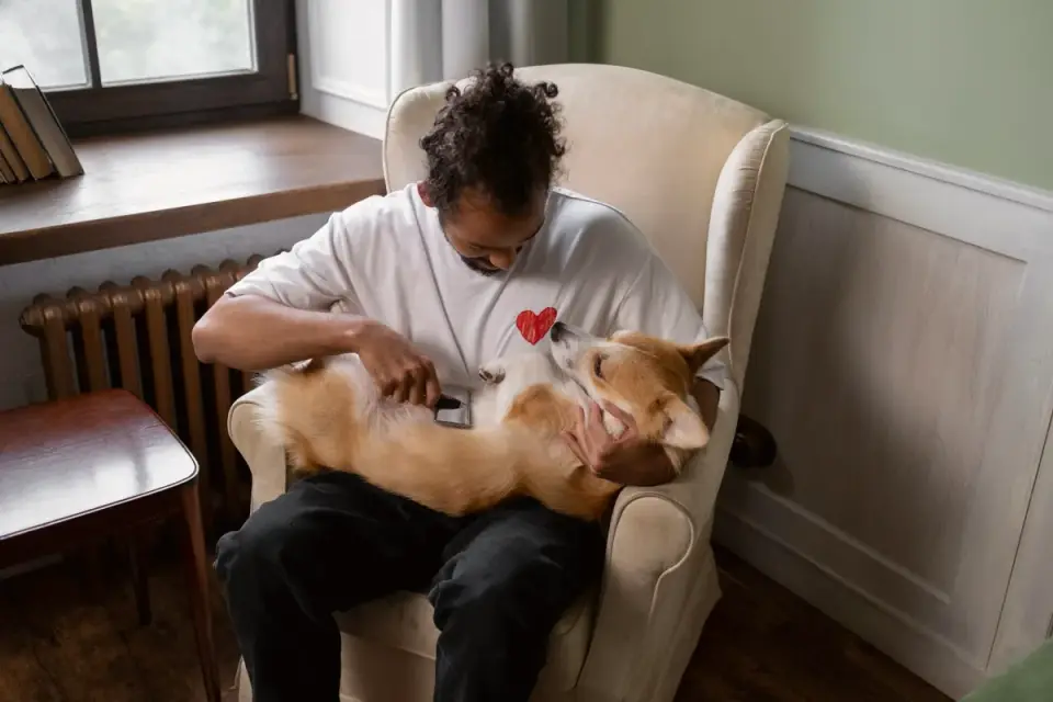 Dog with an owner at home