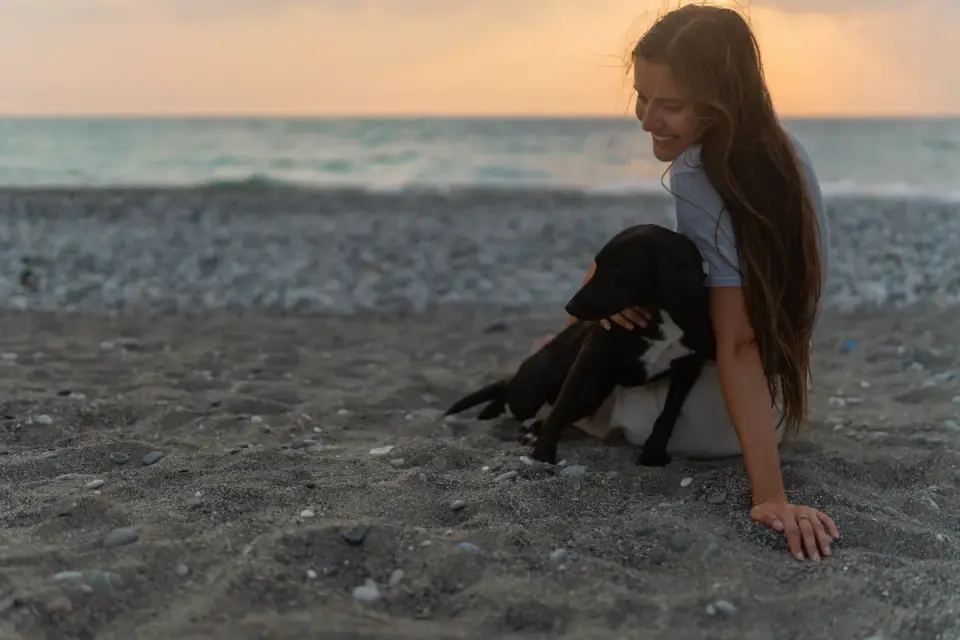 Dog with an owner at home