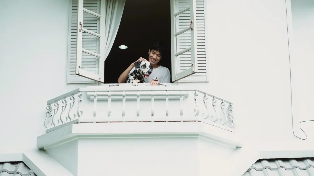 Dog with an owner at home
