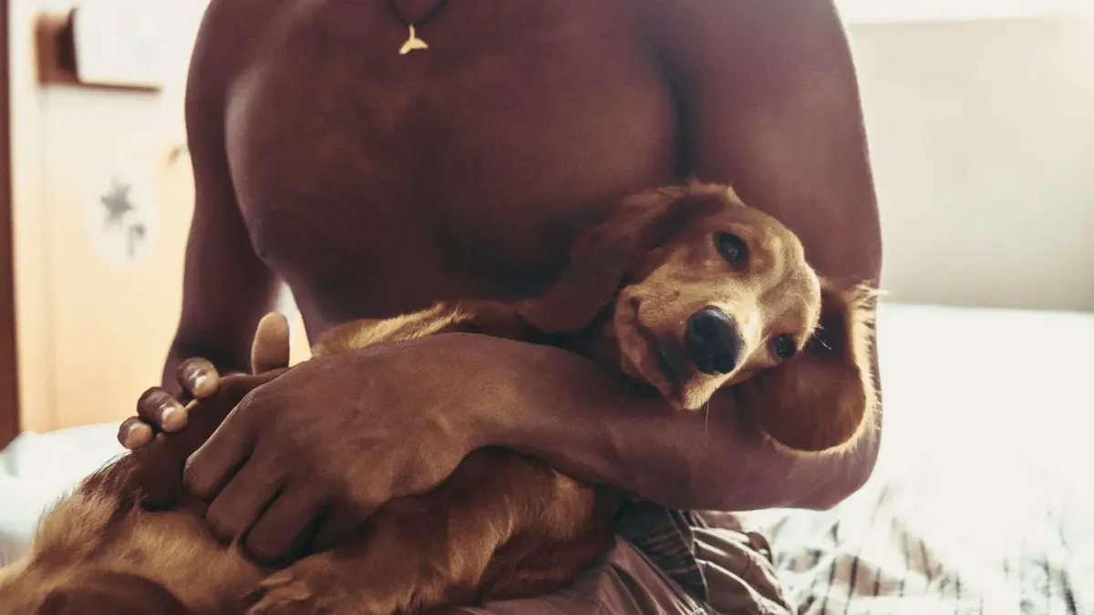 Dog with an owner at home