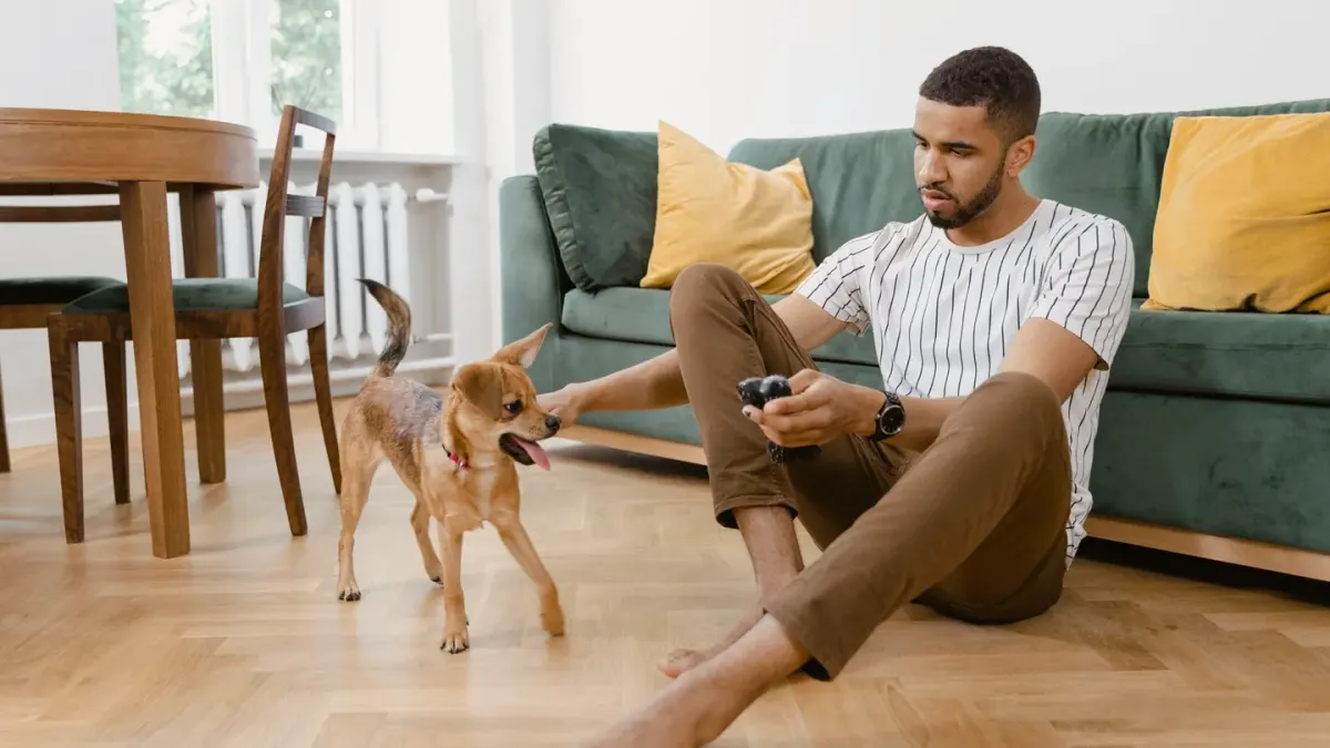 Dog with an owner at home