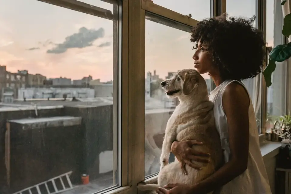 Dog with an owner at home