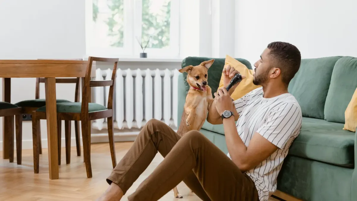 Dog with an owner at home