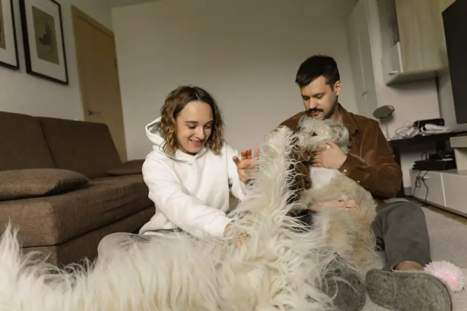 Dog with an owner at home